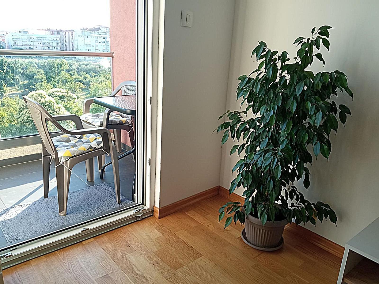 Renta Apartman Podgorica Zewnętrze zdjęcie